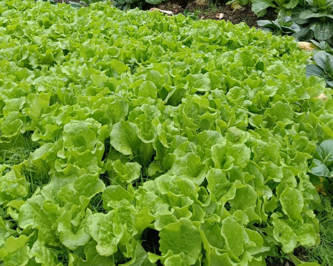 花筑·云初溪隐宋式美学高端设计师民宿(婺源篁岭风景区店)图片