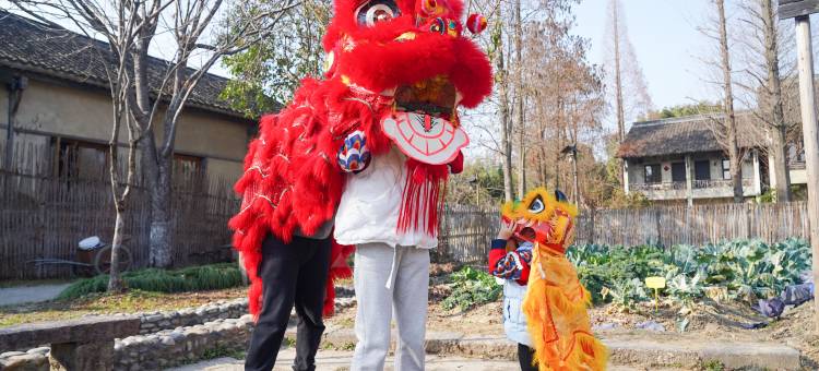 乌镇乌村酒店图片