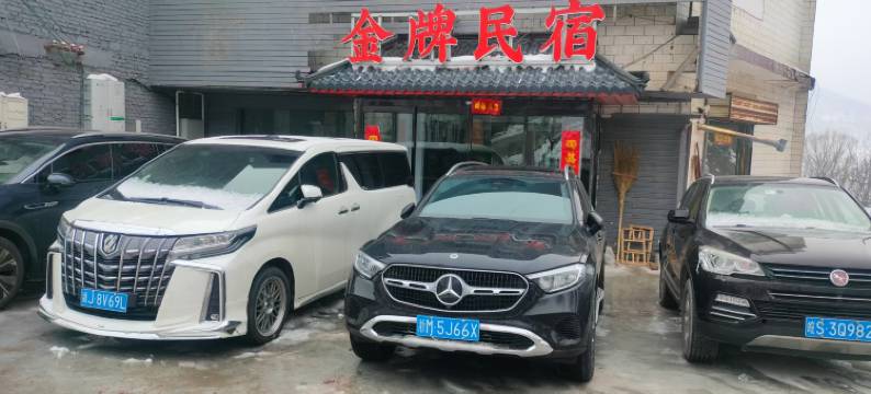 金牌民宿(登封嵩山少林寺景区店)图片