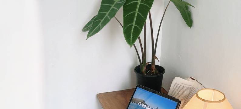 广州如风租房(植物园地铁站龙洞步行街店)图片