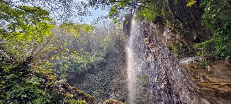 英德清欢竹境美宿(英西峰林走廊店)图片