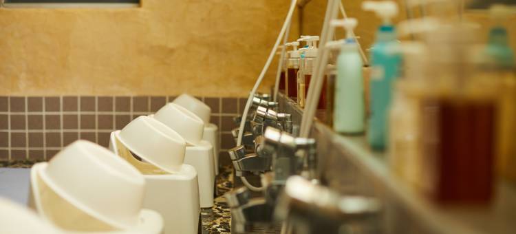 芙蓉山居 煙霞(fuyosankyoenka)图片