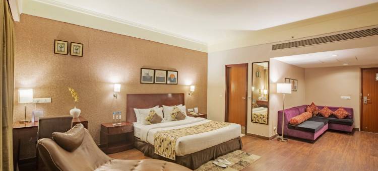 维斯塔孔雀宫酒店(Vesta Maurya Palace)图片