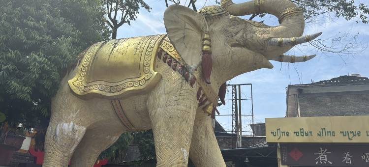 如家酒店·neo(芒市珍奇园店)图片