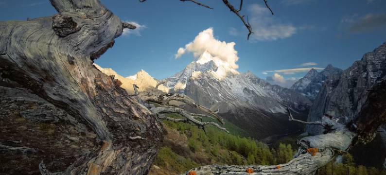 丽景天成酒店(稻城亚丁新游客中心店)图片