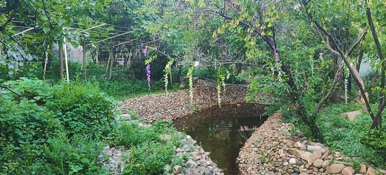 沈阳棋盘山小林间轻奢民宿图片