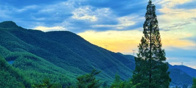 莫干山莫等闲美宿图片