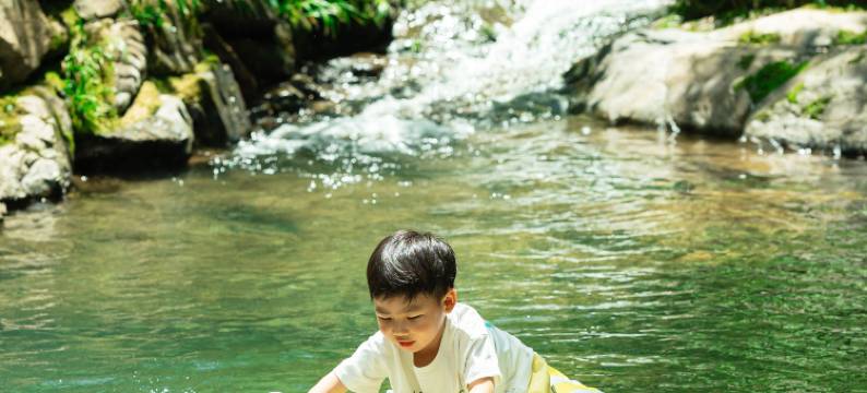 茂山·青田野图片