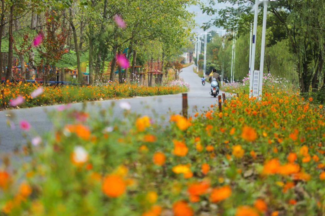 巢湖碧桂园凤悦凤凰酒店图片