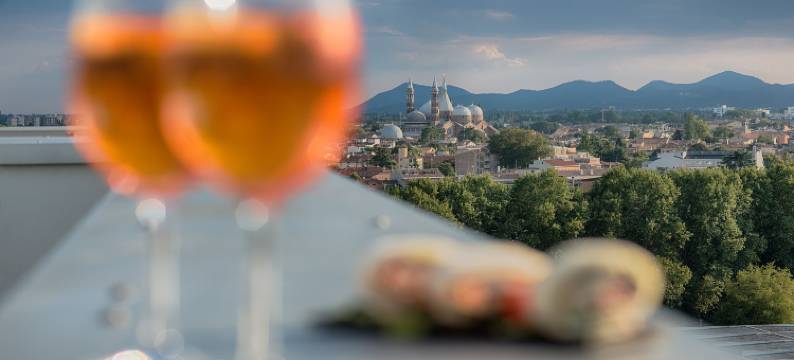 Savhotel Mantegna Padova(Savhotel Mantegna Padova)图片