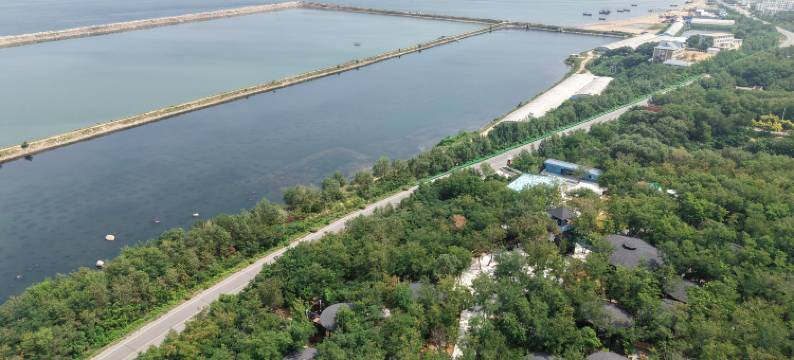 青谷度假酒店图片