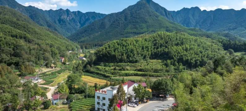 泾县香樟溪畔民宿图片