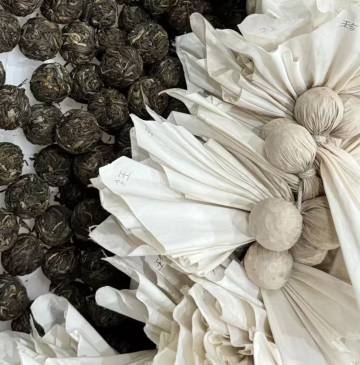 安莱雨林野奢酒店图片