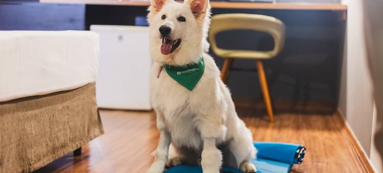 卡西诺塔库里蒂巴机场国家旅馆酒店(Hotel Cassino Tower Curitiba Aeroporto by Nacional Inn)图片