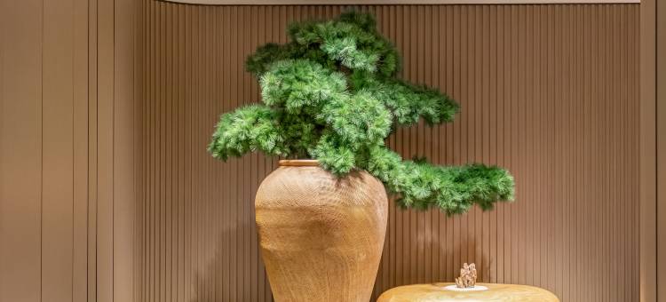 全季酒店(重庆解放碑步行街店)图片