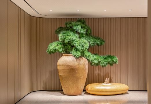 JI Hotel (Chongqing Jiefangbei Pedestrian Street) Hotel Overview