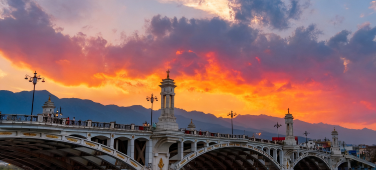 瑞都智慧酒店(大理高铁站洱海公园店)图片