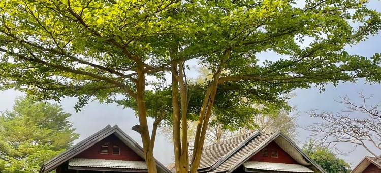 Pai Do See Resort图片