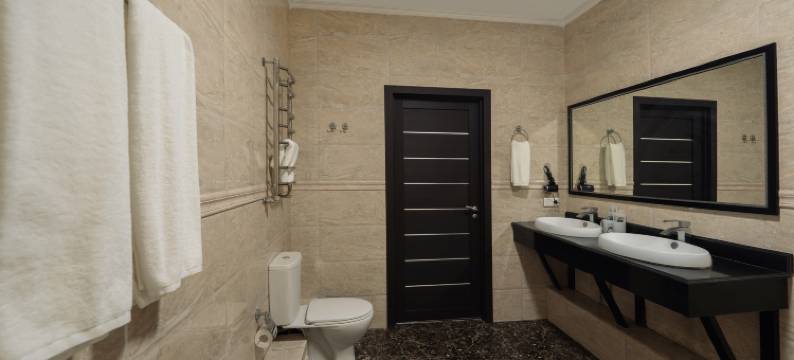 阿拉木图宏图商务酒店(华人酒店)(Business hotel "HONG TU" Almaty)图片