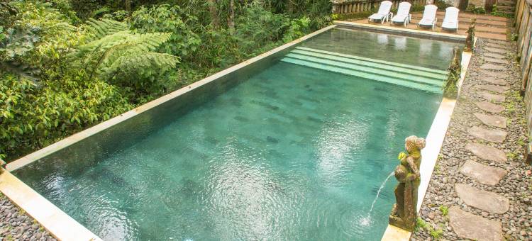 Bali Jungle Resort图片