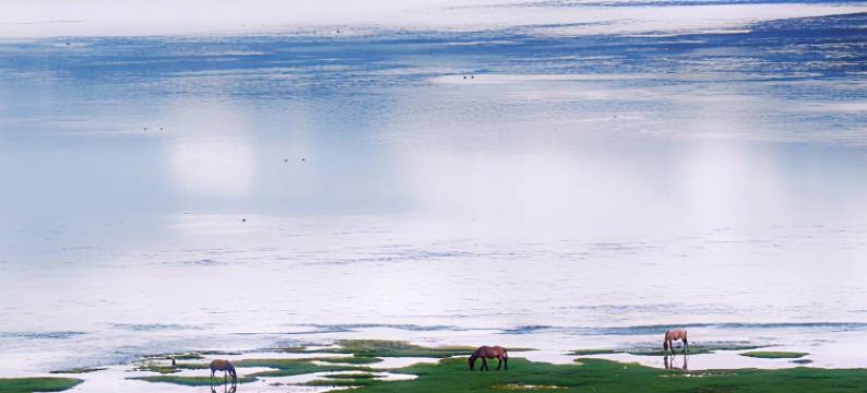 牧卡｜拾光·隐世度假庄园(香格里拉纳帕海店)图片