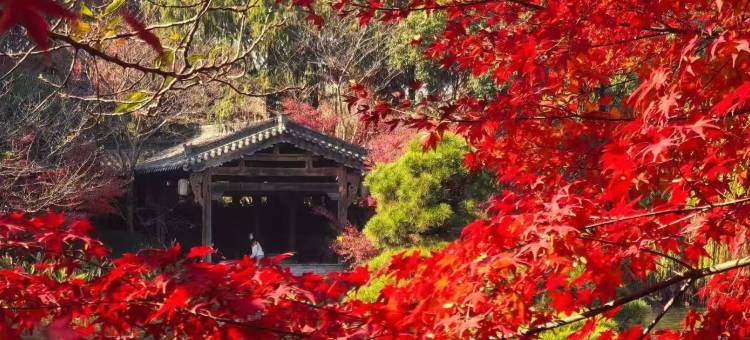 中国院子·梦溪苑·隐居酒店图片