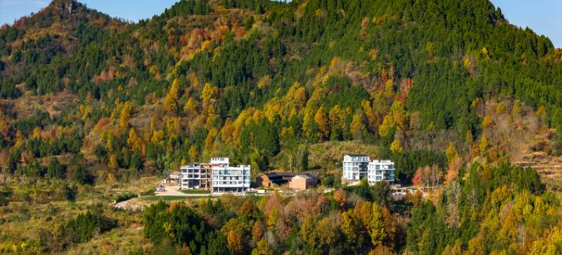 仙居不止山宿(油瓶科店)图片