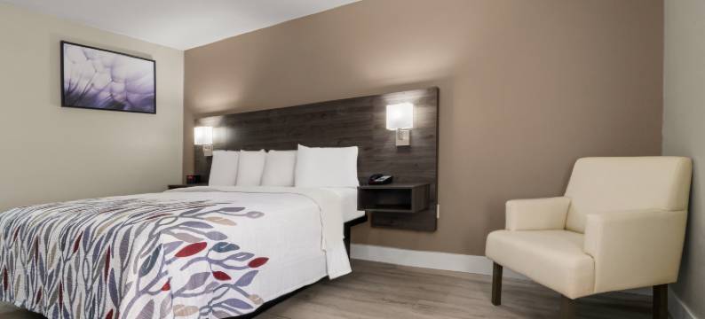 红屋顶华盛顿酒店(Red Roof Inn Washington, NC)图片