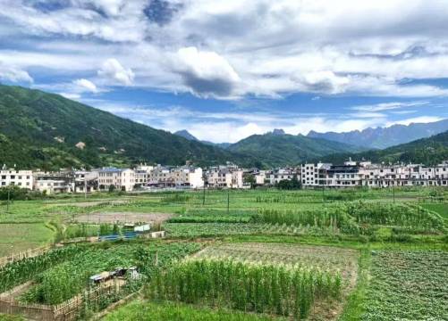 滨水蓝湾·溪谷谧境villa度假美宿(望仙谷风景区店)图片