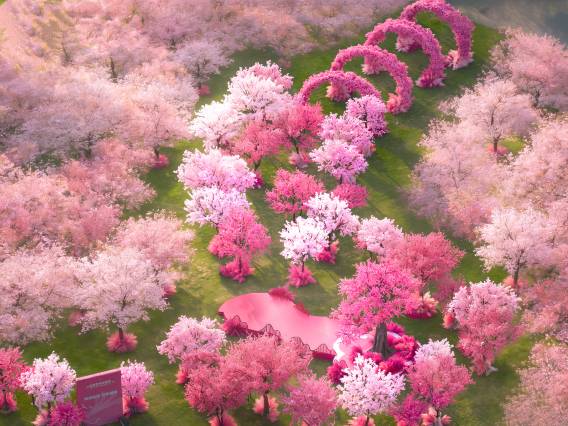 河源春沐源小镇·棕榈树酒店图片