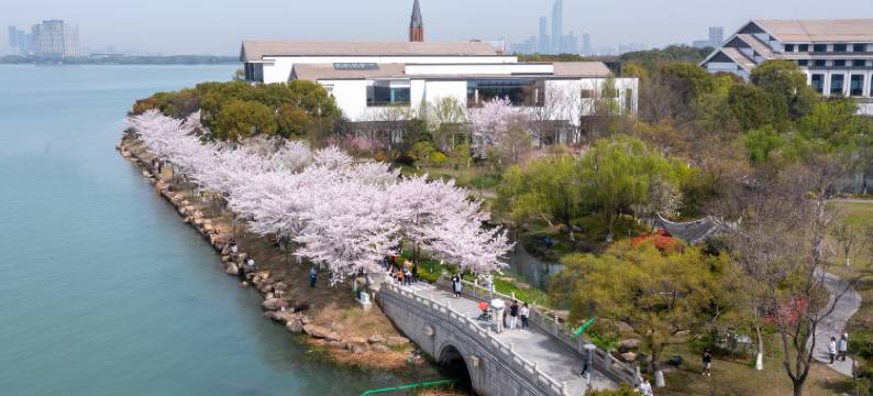 苏州独墅湖世尊酒店图片
