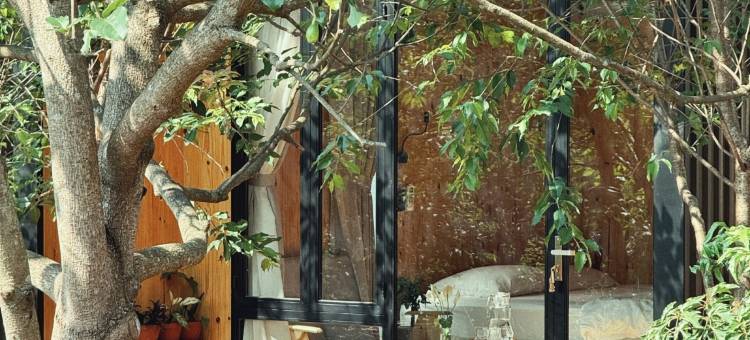 An Nhiên Farmstay & Resort图片