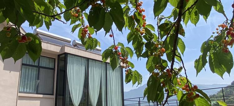湘树湾·花园民宿(花果山景区店)图片