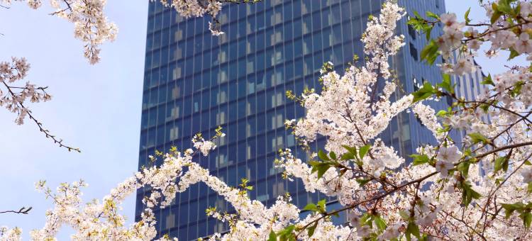 索菲特首尔大使酒店和服务式公寓(Sofitel Ambassador Seoul Hotel & Serviced Residences)图片