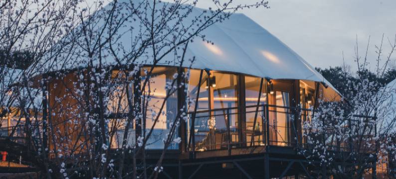 隐居乡里·十堰早春三花民宿(杏花村店)图片