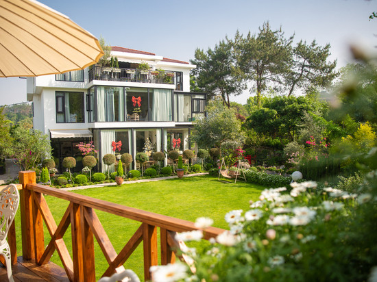 松阳叶子庄园民宿