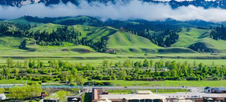 若尔盖西御大酒店(汽车客运中心店)图片