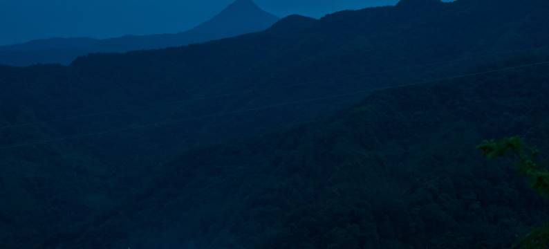 栖迟外酒店图片