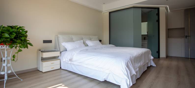 武义鸥鱼·温泉印象康养民宿图片