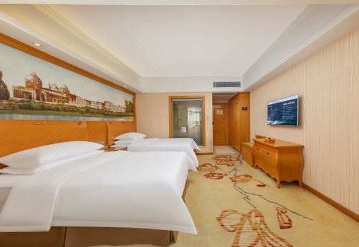 Vienna Hotel (Luoding Luocheng Branch) Hotel Overview