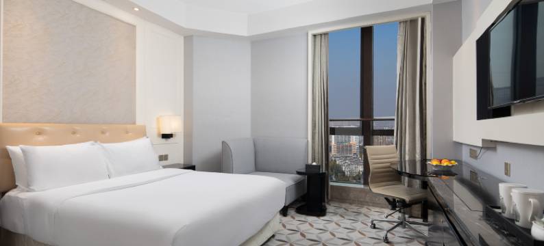 伯爵世家酒店(嘉兴南湖区政府店)图片