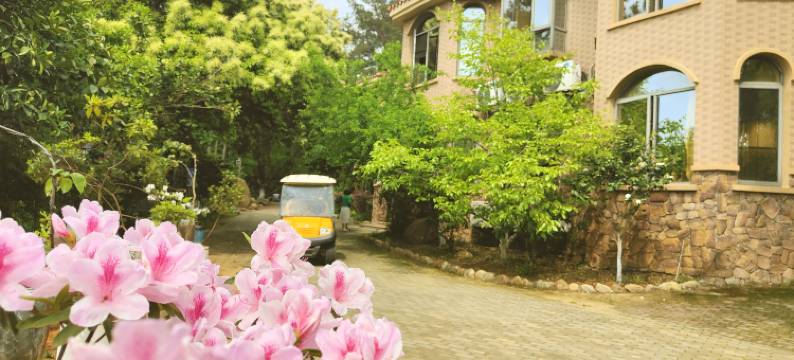 中盛假日酒店图片