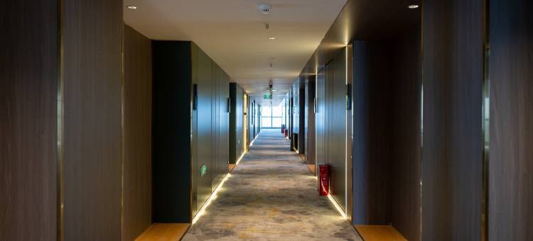 郸城君悦雅致酒店图片