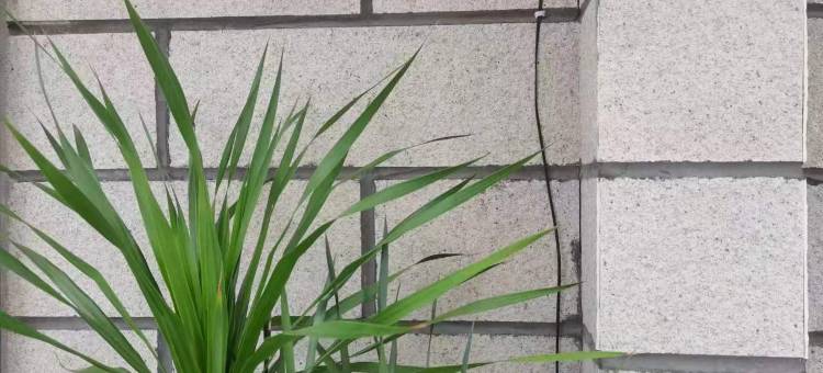 平潭海边有屋图片