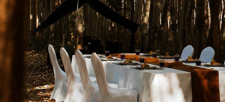 七号星空帐篷酒店图片