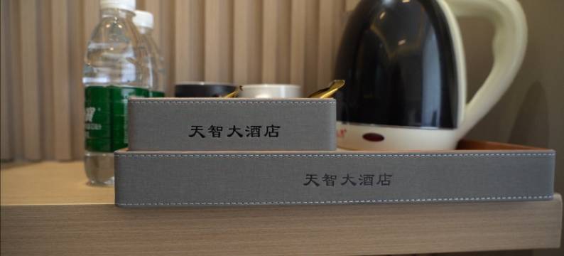 新龙天智大酒店图片