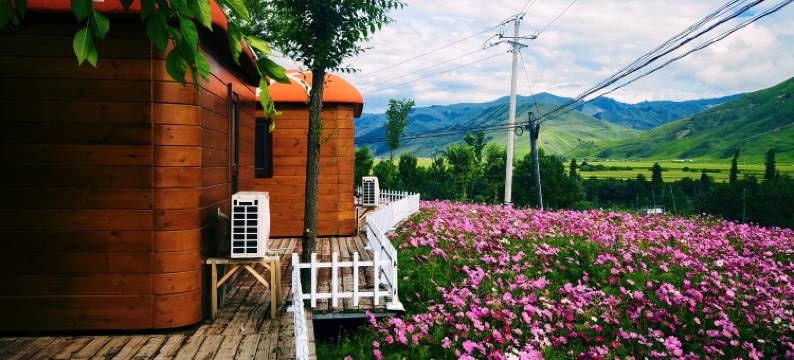 尼勒克天山黑蜂庄园生态酒店图片