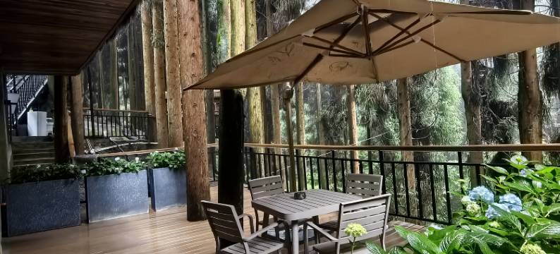 十里.山木居民宿图片