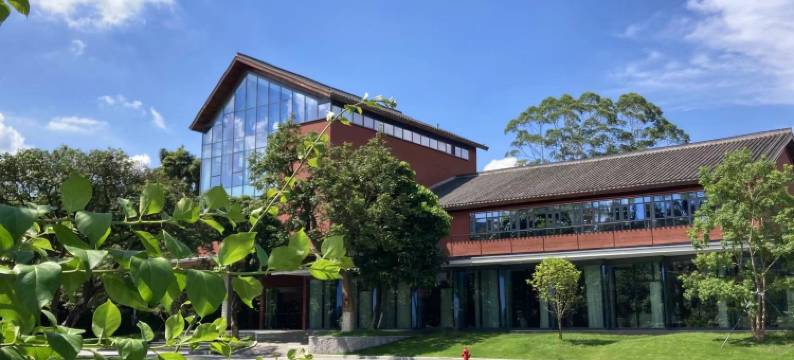 国茶汇半山茶园民宿图片