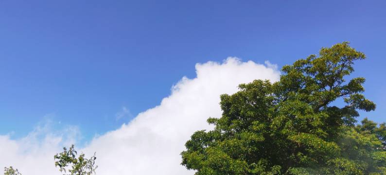 山居日记民宿图片